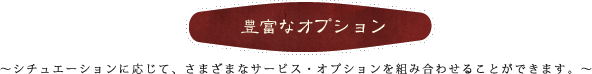 豊富なオプション。シチュエーションに応じて、さまざまなサービス・オプションを組み合わせることができます。