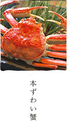 本ずわい蟹