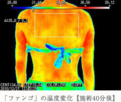 「ファンゴ」の温度変化【施術40分後】