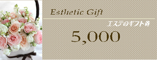 Esthetic Gift エステのギフト券 5,000