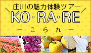 となみ野の魅力たっぷりKORARE-こられ-