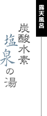 露天風呂 炭酸水素塩水の湯